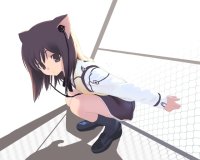 BUY NEW houden eizo - 157963 Premium Anime Print Poster