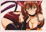 BUY NEW ikkitousen - 131522 Premium Anime Print Poster
