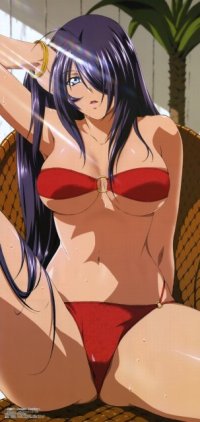 BUY NEW ikkitousen - 132807 Premium Anime Print Poster
