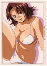 BUY NEW ikkitousen - 136152 Premium Anime Print Poster