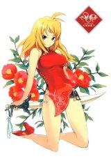 BUY NEW ikkitousen - 157285 Premium Anime Print Poster