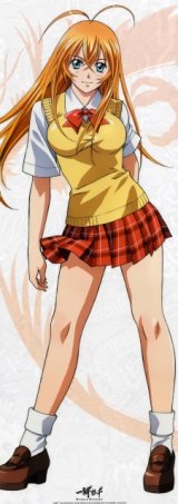 BUY NEW ikkitousen - 157704 Premium Anime Print Poster