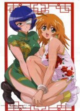 BUY NEW ikkitousen - 341 Premium Anime Print Poster