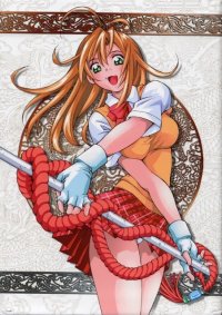 BUY NEW ikkitousen - 35344 Premium Anime Print Poster