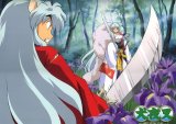 BUY NEW inu yasha - 5344 Premium Anime Print Poster
