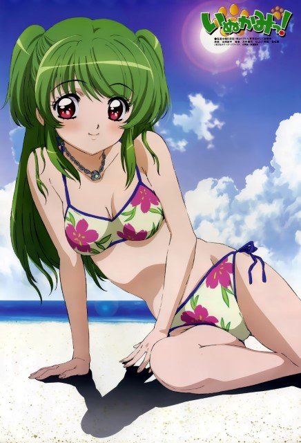 BUY NEW inukami - 83366 Premium Anime Print Poster inukami - 83366 image