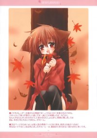 BUY NEW izumi sakurazawa - 103330 Premium Anime Print Poster