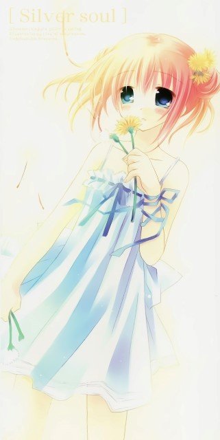 BUY NEW izumi sakurazawa - 129004 Premium Anime Print Poster izumi sakurazawa - 129004 image