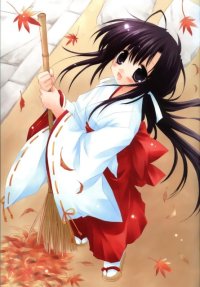 BUY NEW izumi sakurazawa - 146282 Premium Anime Print Poster