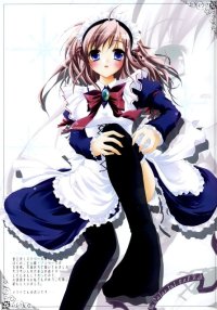BUY NEW izumi sakurazawa - 161554 Premium Anime Print Poster