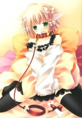 BUY NEW izumi sakurazawa - 189769 Premium Anime Print Poster