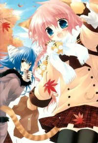 BUY NEW izumi sakurazawa - 21828 Premium Anime Print Poster