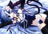 BUY NEW izumi sakurazawa - 53125 Premium Anime Print Poster
