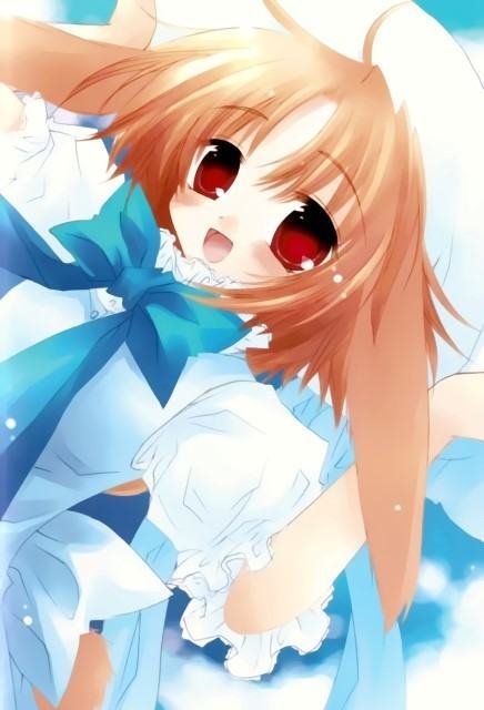BUY NEW izumi sakurazawa - 66955 Premium Anime Print Poster izumi sakurazawa - 66955 image
