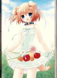 BUY NEW izumi sakurazawa - 9786 Premium Anime Print Poster