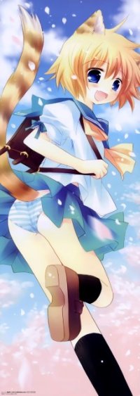 BUY NEW izumi sakurazawa - 97958 Premium Anime Print Poster