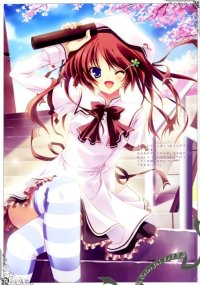 BUY NEW izumi tsubasa - 161556 Premium Anime Print Poster