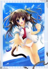 BUY NEW izumi tsubasa - 161563 Premium Anime Print Poster