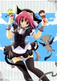 BUY NEW izumi tsubasa - 161564 Premium Anime Print Poster