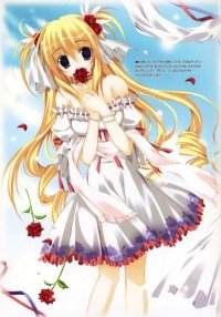 BUY NEW izumi tsubasa - 161568 Premium Anime Print Poster