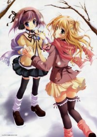 BUY NEW izumi tsubasa - 164245 Premium Anime Print Poster
