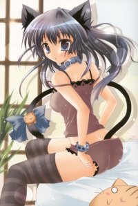 BUY NEW izumi tsubasa - 167264 Premium Anime Print Poster