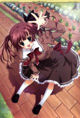 BUY NEW izumi tsubasa - 175833 Premium Anime Print Poster