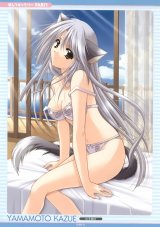 BUY NEW izumo - 135235 Premium Anime Print Poster