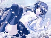 BUY NEW izumo - 149690 Premium Anime Print Poster