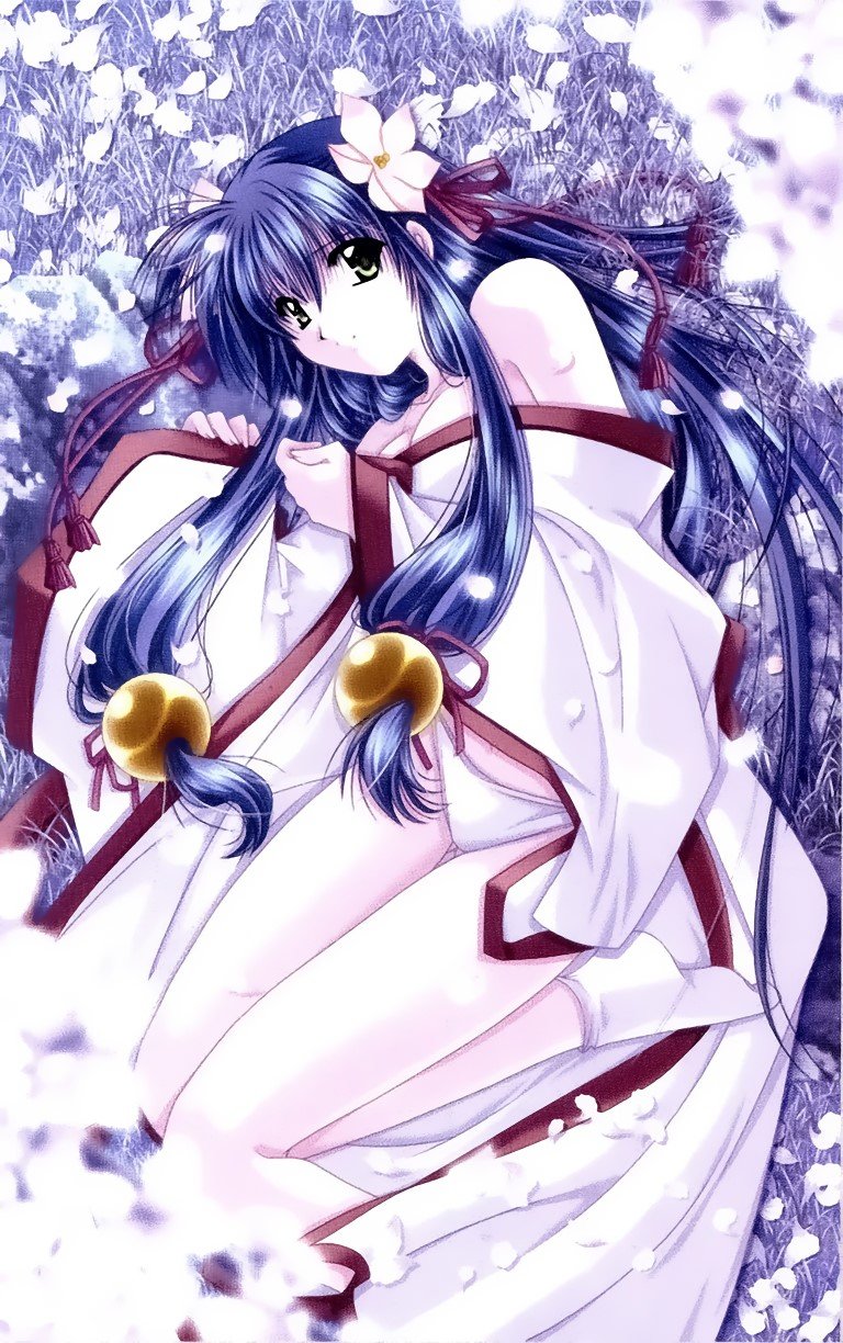 BUY NEW izumo - 16694 Premium Anime Print Poster izumo - 16694 image