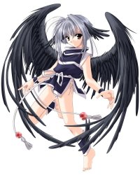 BUY NEW izumo - 83011 Premium Anime Print Poster