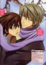 BUY NEW junjyou romantica - 163369 Premium Anime Print Poster