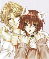 BUY NEW kaikan phrase - 169738 Premium Anime Print Poster