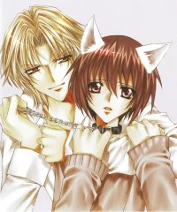 BUY NEW kaikan phrase - 169738 Premium Anime Print Poster