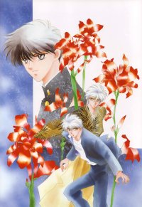 BUY NEW kaimu tachibana - 139095 Premium Anime Print Poster