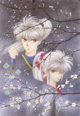BUY NEW kaimu tachibana - 139266 Premium Anime Print Poster