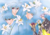 BUY NEW kaimu tachibana - 139463 Premium Anime Print Poster
