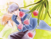 BUY NEW kaimu tachibana - 141915 Premium Anime Print Poster