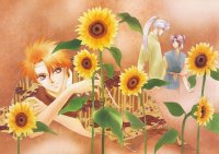 BUY NEW kaimu tachibana - 160531 Premium Anime Print Poster