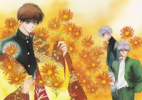 BUY NEW kaimu tachibana - 160972 Premium Anime Print Poster