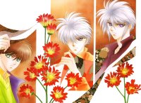 BUY NEW kaimu tachibana - 161008 Premium Anime Print Poster
