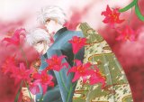 BUY NEW kaimu tachibana - 161203 Premium Anime Print Poster
