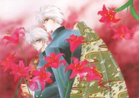 BUY NEW kaimu tachibana - 161203 Premium Anime Print Poster
