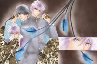 BUY NEW kaimu tachibana - 161217 Premium Anime Print Poster