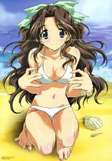 BUY NEW kakyuusei - 4729 Premium Anime Print Poster