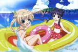 BUY NEW kamichama karin - 132904 Premium Anime Print Poster