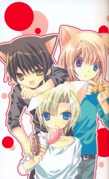 BUY NEW kamichama karin - 173525 Premium Anime Print Poster