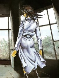 BUY NEW kamikaze - 37559 Premium Anime Print Poster