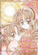 BUY NEW kamimaze kaitou jeanne - 26403 Premium Anime Print Poster