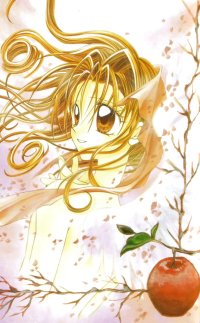 BUY NEW kamimaze kaitou jeanne - 43329 Premium Anime Print Poster